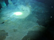 IMG_0470.JPG