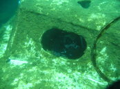 IMG_7064.JPG