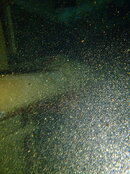 IMG_8989.jpeg