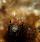 B00C13682B4742C6AA76ADD26A5B1018.gif