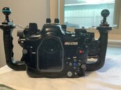 IMG_0591.jpeg