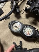 IMG_7203.jpeg
