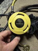 IMG_7204.jpeg