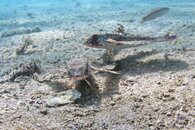 IMG_9327wa.jpg