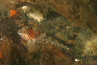 Washington 0509 - 11.JPG