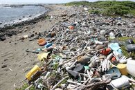kamilo_beach2.jpg