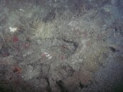 PICT0055.jpg