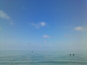 IMG_20120508_113631.jpg