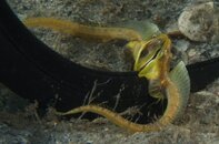 DSC_3109.jpg