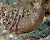 FL_120328_BHB_2902.jpg