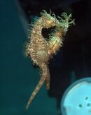 FL_120328_BHB_2910.jpg