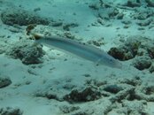 IMG_7472.jpg