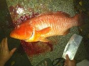 IMG_1605Scaled.jpg