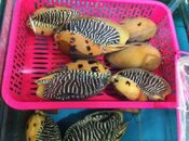 IMG_1589Scaled.jpg