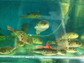 IMG_1585Scaled.jpg