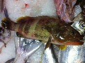 IMG_1574Scaled.jpg