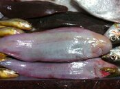 IMG_1576Scaled.jpg