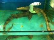 IMG_1593Scaled.jpg