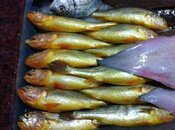 IMG_1577Scaled.jpg