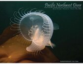 pnw_diver_2012-05_Cover.jpg