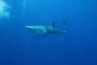 IMG_3513.JPG