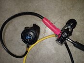 20230730_095238.jpg