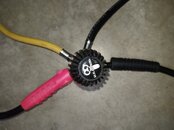 20230730_095206.jpg