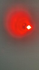 IMG_2039.jpeg
