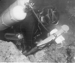 Warm Mineral Springs diver.jpg