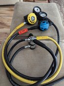 PXL_20230814_204110199.jpg