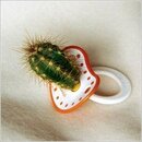 pacifier,-cactus-138887.jpg
