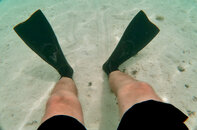 IMG_4624.jpeg