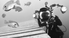 IMG_3303.jpeg