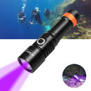 UV Dive Light.jpg