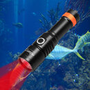 Red LED Dive Light.jpg