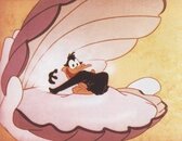daffy-pearl.jpg