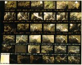 Contact Sheet.jpg