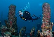 _DSC9148.jpg