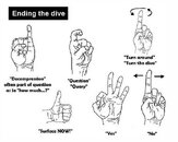 Hand-Signals---Ending-the-d.jpg