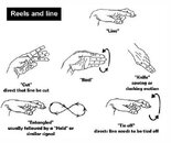 Hand-Signals---Reels-and-Li.jpg