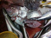 IMG_1590Scaled.jpg