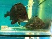 IMG_1586Scaled.jpg
