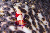 DSC02422_web.jpg