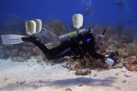 dive-jugs.jpg