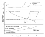 Shallow Water Blackout Graphs.png