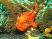 IMG_4226.JPG