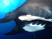 DSC01138.JPG