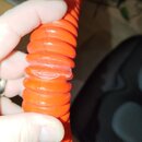 P_20231103_155105.jpg