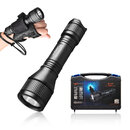 D550 dive flashlight.jpg