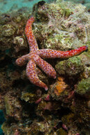 DSC_7671.jpg